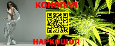 МДПВ Новозыбков
