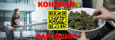 МДПВ Новозыбков