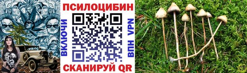 Галлюциногенные грибы Psilocybe  Петропавловск-Камчатский 