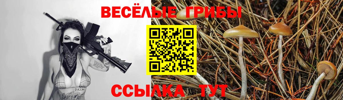 Псилоцибиновые грибы GOLDEN TEACHER  Вход с VPN  Петропавловск-Камчатский 